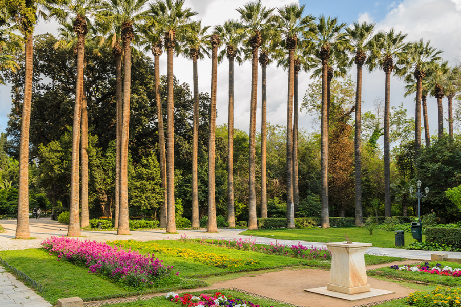 Athens’ Best Parks And Gardens For Relaxation